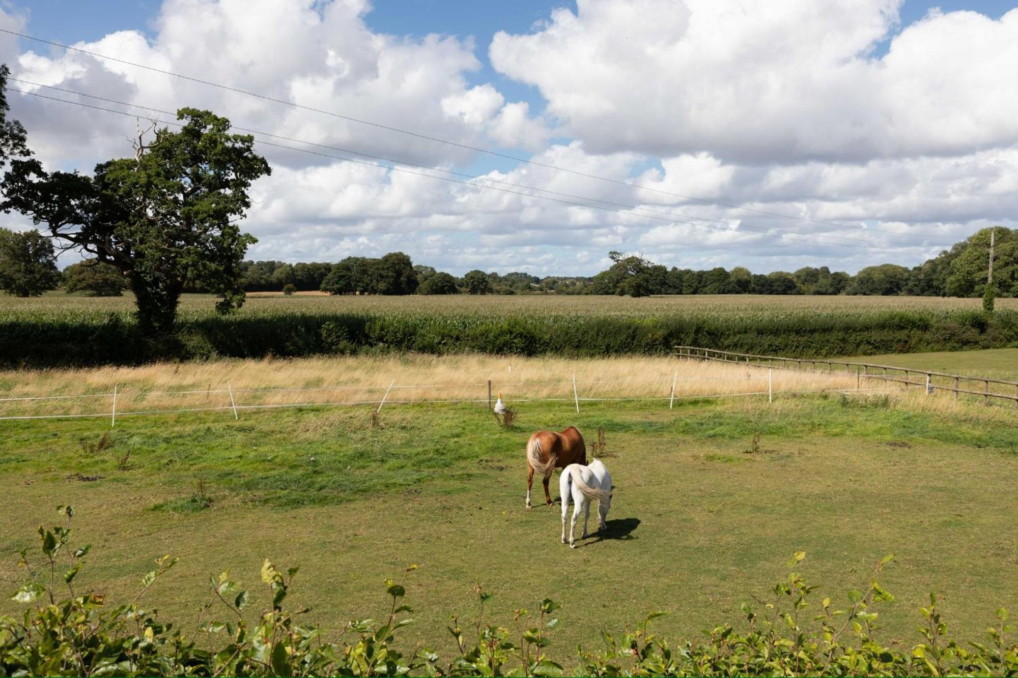 Apartment The Longmynd Stunning Flat With Own Large Garden *