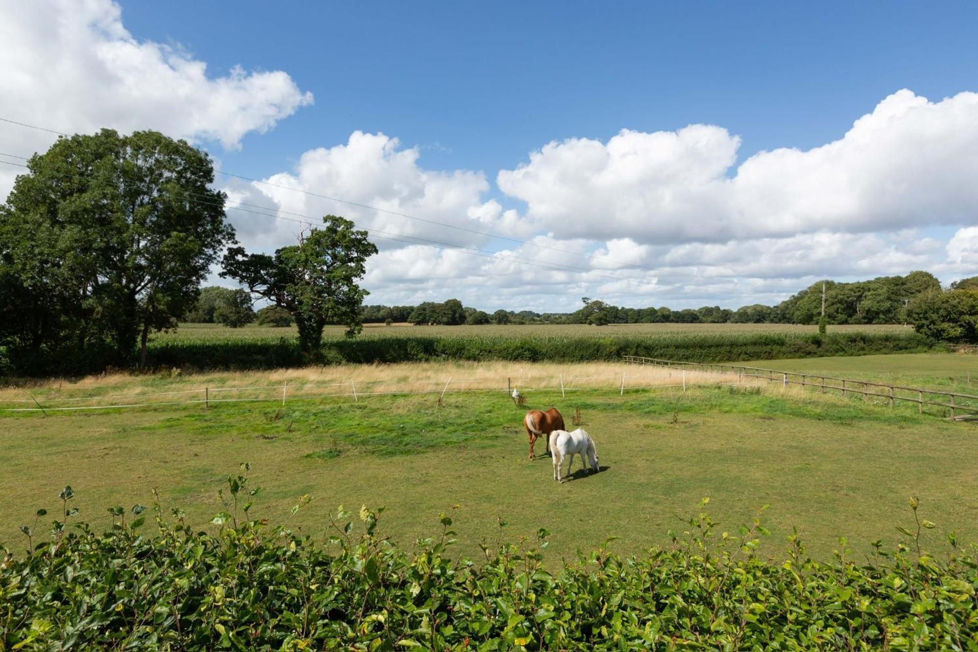 Apartment The Longmynd Stunning Flat With Own Large Garden *