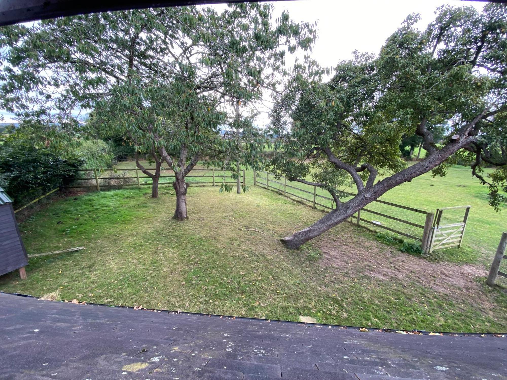 Apartment The Longmynd Stunning Flat With Own Large Garden